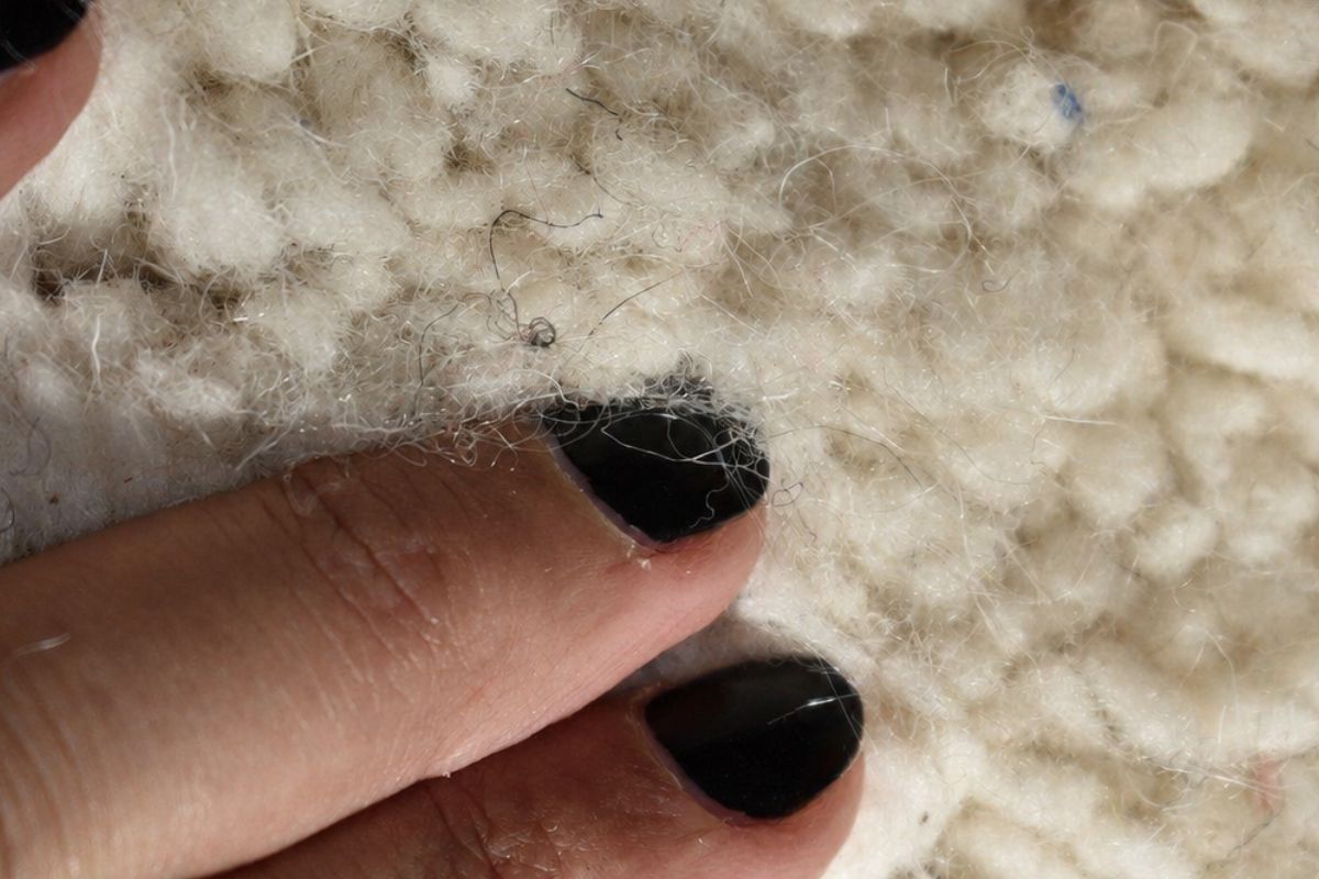 Judging Moroccan Rug Wool Quality Without a Lab Judging Moroccan Rug Wool Quality Without a Lab